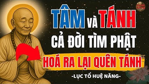 Lục Tổ Huệ Năng – TÂM LÀ GÌ –TÁNH LÀ GÌ? -Cả Đời Tìm Phật, Hoá Ra Lại Quên Tánh I Lời Phật Giác Ngộ