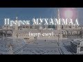 Пророк Мухаммад (мир ему) | Истории пророков | Ильдар Аляутдинов