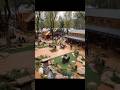 Amazing Transformation! 🌿 Building a Rustic Wooden Complex from Scratch | Nature Architecture