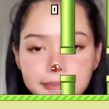 tik tok flappy bird