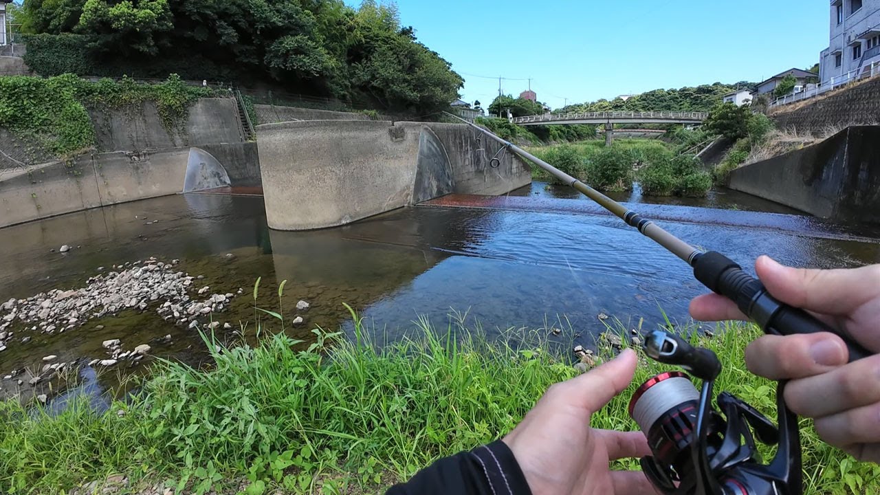 五島列島の川には何がいるのか？