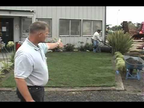 How to Install Sod: STEP 5 (Continued) Watering Turf As You Lay Sod