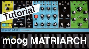 Moog Matriarch | Tutorial video 1