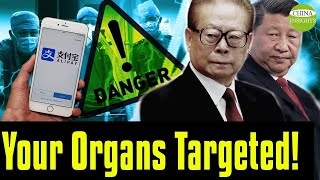 Alipay Users are in Danger as well! The Truth about CCP's Theft of Human Organs
