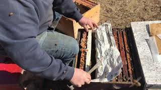 Uniting a Queen-less hive and a weak hive using paper method