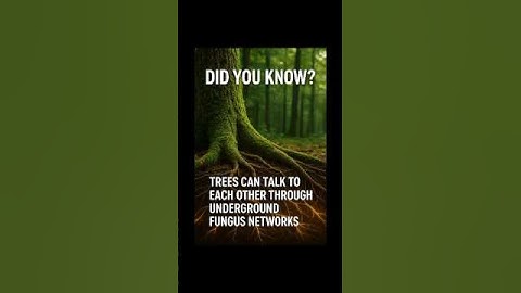 Trees Secretly Talk to Each Other?! 🌳🧠 Nature’s Hidden Network!
