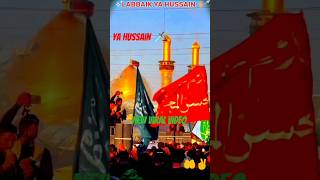 mere Ghar mein Lage Hain jabse Alam 🤲#Husain#karbla#mohharam#short#video ✋⚔️🗡️✌️💥