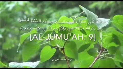 ما تيسر من سورة الجمعة بصوت القارئ رعد الكردي