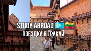 видео: Знаменитый замок Тракая | Переехала в новую общагу |  Влог №5 картинка: Знаменитый замок Тракая | Переехала в новую общагу |  Влог №5