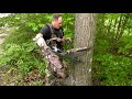 Tree stand safety installing a climbing tree stand