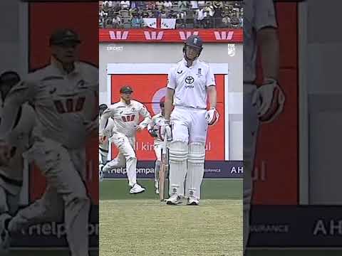 Starc with a catch of the summer contender! #Ashes