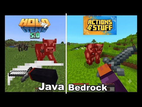 Action & Stuff (Bedrock) VS Hold My items (Java) Which is Better🤔?