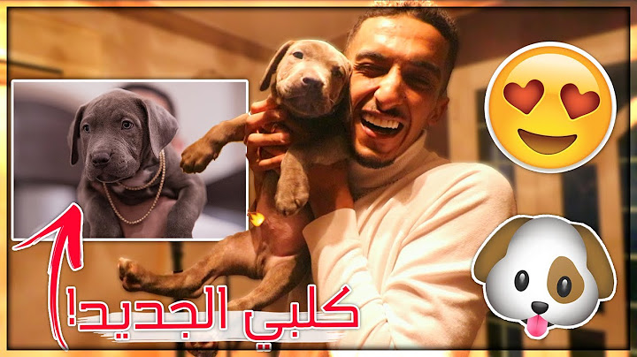 اشتريت اقوى نوع كلب في العالم ! ( شوفوا ردة فعل اصحابي 😻!! )