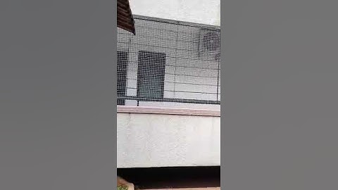 Pigeon Net For Balcony In Bengaluru 9008469700 At Madhuri Safety Nets #netting #mesh #viral #shorts