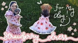 Making The Strawberry Dress For My Dog! | DIY