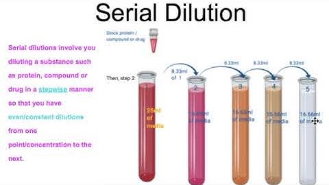 🧪SERIAL DILUTIONS for STANDARD CURVE, DOSE RESPONSE CURVE and Calibration Curve Creation🧪