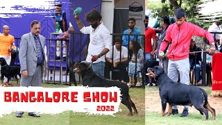 WOW 😍 | Rottweiler Dog Show | Bangalore Canine Club & Silicon City Kennel Club 2022