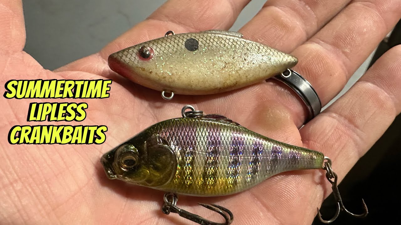 Summertime Bass Fishing With Lipless Crankbaits…