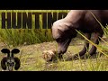 A Bloody Shoe! Mission 4  - A Ranger's Life! Hunting Simulator 2