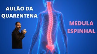 QUAL A FUNÇÃO DA MEDULA ESPINHAL? ANATOMIA HUMANA QUAL A FUNÇÃO DA MEDULA ESPINHAL? ANATOMIA HUMANA