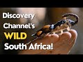 Full Discovery Channel Wild South Africa Marathon!