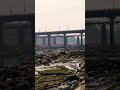 damodar river ramghar #dailyvideo #love #damodar #damodarriver #jharkhand #vlog #villagerlifestyle