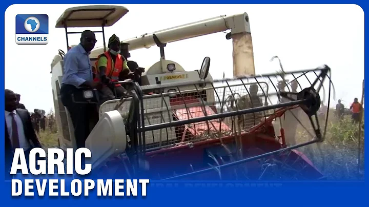 NIRSAL Ends Phase Of Agric Project In Sobe, Edo State