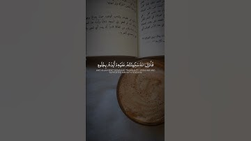 لا تحزن ان الله معنا. بصوت القارئ عبدالرحمن مسعد #قران_كريم #راحه_نفسيه