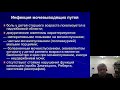 Педиатрия 4.Пиелонефрит у детей