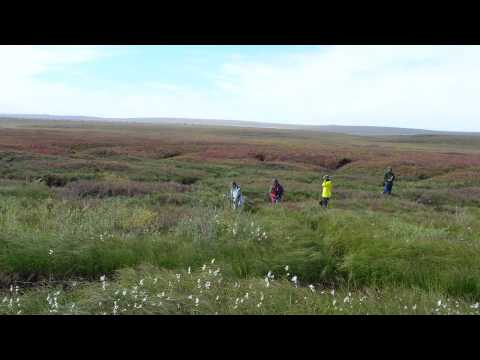 The Big Thaw: Ground-Truthing Permafrost in Alaska