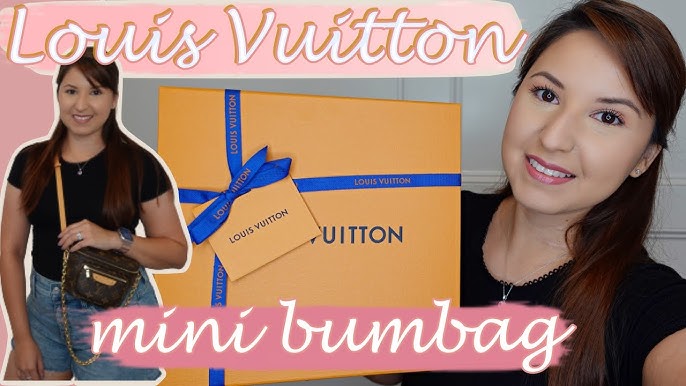 Bag Organizer for Louis Vuitton Mini Bumbag - Zoomoni