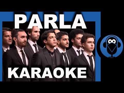 PARLA -100. Yıl Marşı - Norm Ender / (Karaoke)  / COVER