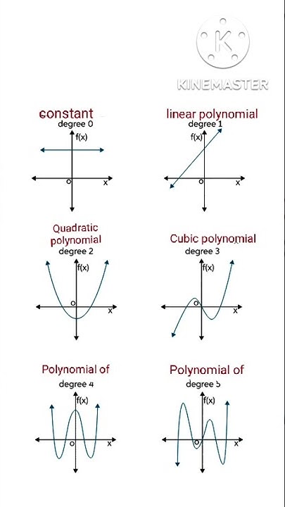 Graphs of different types of polynomials| Graph of polynomials| Graphs ...