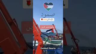 Free Palestine #shorts #madina #naat #islam #namaz