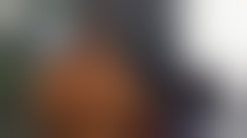 AMS Asset Monitor, Emerson