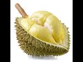 Le durian le fruit le plus extrme dans le monde