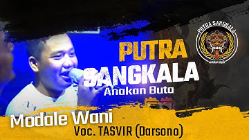 Modale Wani Voc.Tasviir /Darsono (Ngobrog Online PUTRA SANGKALA)