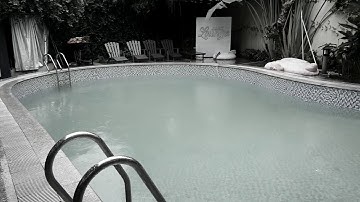 Xử lý rong rêu hồ bơi.