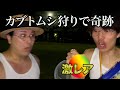 急遽カブトムシ狩りに行ったらまさかの大物www