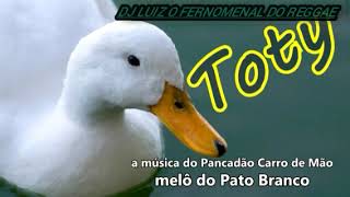 REGGAE MELO DE PATO BRANCO REGGAE LIMPO _DJ LUIZ O FERNOMENAL DO REGGAE