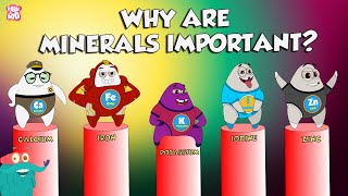 Why Are Minerals Important? | Functions Of Minerals | The Dr Binocs Show | Peekaboo Kidz