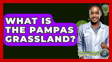 What Is The Pampas Grassland? - Earth Science Answers