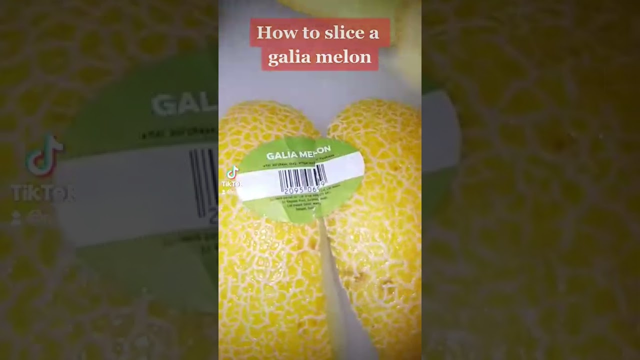How to slice a Galia Melon 😂