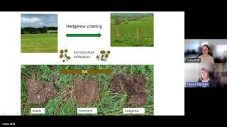 Professor Pippa Chapman and Dr Sofia Biffi | Planting hedges to mitigate floods