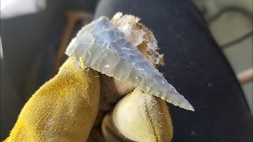 1240 - Part 3/4 - Natural Tool Median Ridge Flintknapping