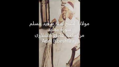الشيخ عنتر سعيد مسلم سورة محمد روعة