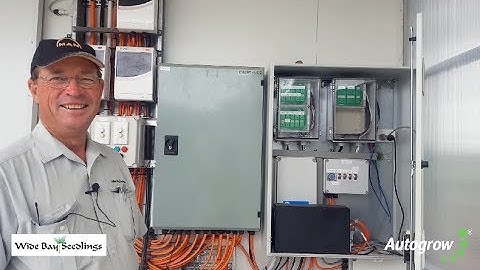 A Tour of Wide Bay Seedlings