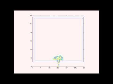 Simulation of Evacuation