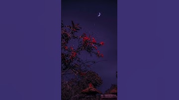 سبح اسم ربك الأعلى".-سورة الأعلى- صوت هادئ و مريح #قرآن
