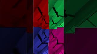 Fan Ka Fun 🪭 🪭 #trending#ceilingfan#fan#shorts#trendingshorts#viralshorts#viral#ytshorts#fyp#fypシ